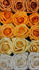 3" Shades of Sunshine Foam Roses  (YOU WILL GET EQUAL AMOUNT OF EACH COLOR UP TO 50 TOTAL)