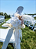 Aisle Chair Floral with Drapery Dried White and Beige (Set of 8) 