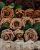 3" Shade of Earth Tones Foam Roses (YOU WILL GET EQUAL AMOUNT OF EACH COLOR UP TO 50 TOTAL)