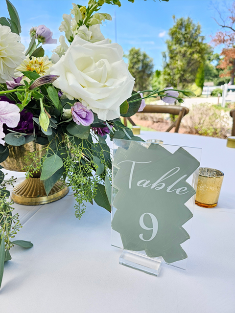 Table Numbers (Acrylic Sage Green Painted Back) 1-25 (Come with Acrylic Stands)