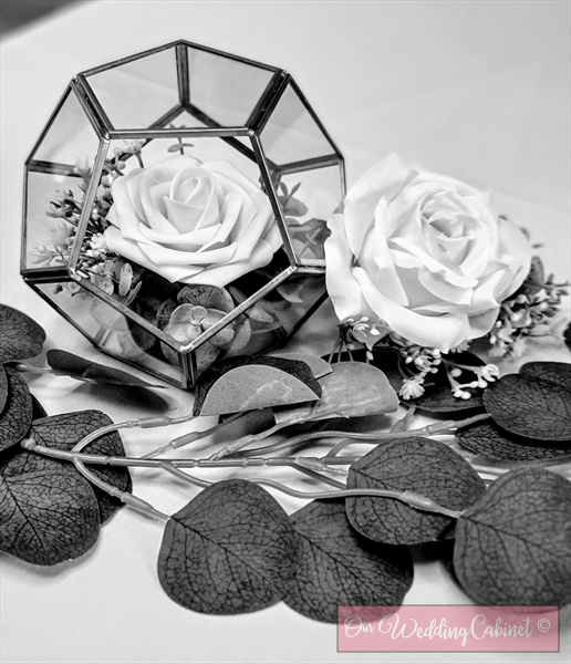 The Florence Nature Park Event Center II, Florence, KY 