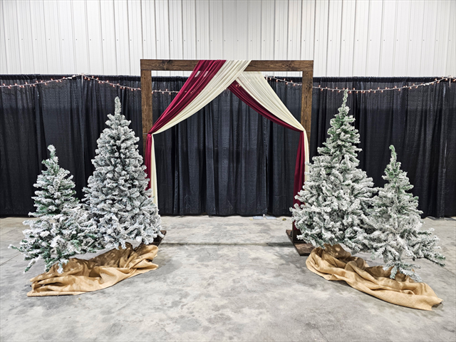 4' Flocked Christmas Tree Without Lights