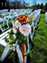 Aisle Chair Floral with Drapery Terracotta (Set of 8)