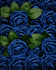 3" Royal Blue Foam Roses 