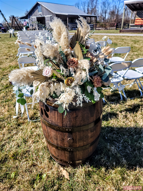 Verona Vineyards, Verona, KY