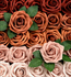 3" Terracotta Ombre Shade Foam Roses  (YOU WILL GET EQUAL AMOUNT OF EACH COLOR UP TO 50 TOTAL)