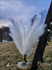 40 inch White Tall Faux Pampas Grass