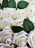 3" Vanilla Cream Foam Roses 
