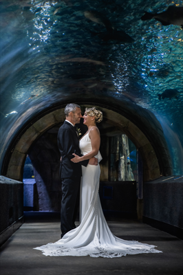 NEWPORT AQUARIUM, NEWPORT, KY (PHOTOGRAPHY BY HONEY LIT MOMENTS)